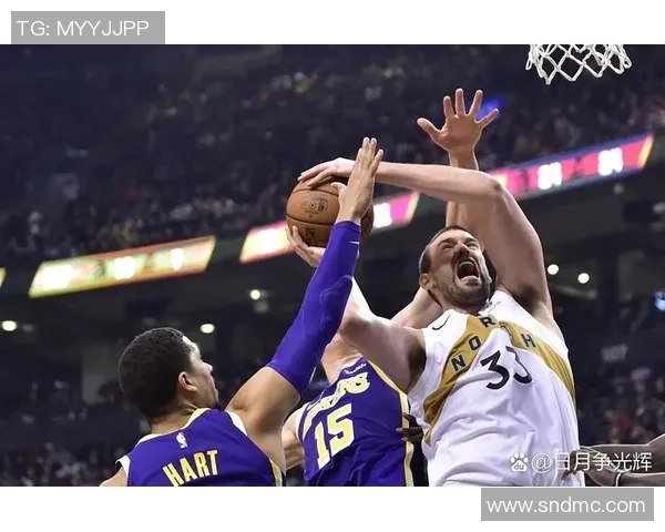 NBA11月1日精彩对决勇士挑战森林狼期待球星们的精彩表现